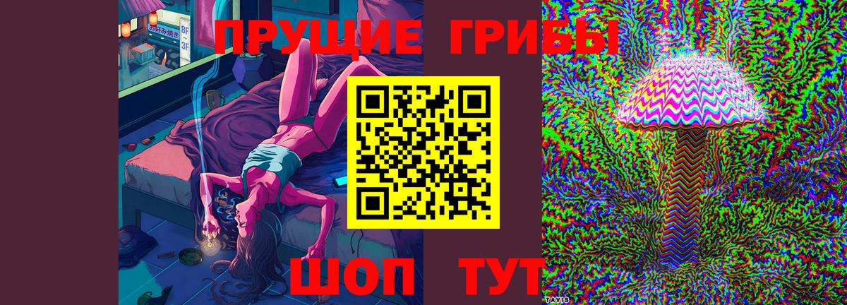 Туймазы  Галлюциногенные грибы Cubensis  Галлюциногенные грибы прущие грибы  Вход с VPN 
